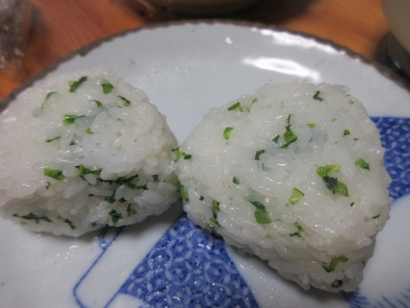 大根蒔き足し、高菜・春菊蒔く_a0203003_15140866.jpg