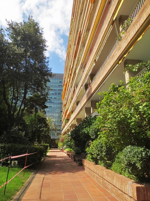 b0064411_06372733.jpg