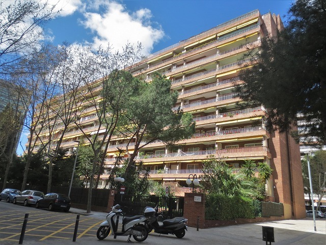 b0064411_06372744.jpg