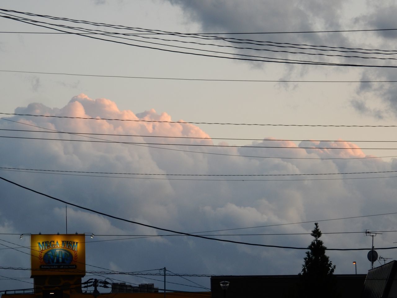 昨日撮った写真_c0025115_21480006.jpg