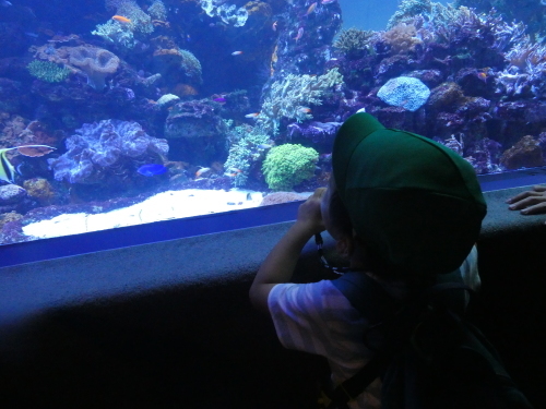 d0362121_15204600.jpg