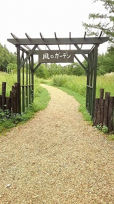 a0172222_06102750.jpg