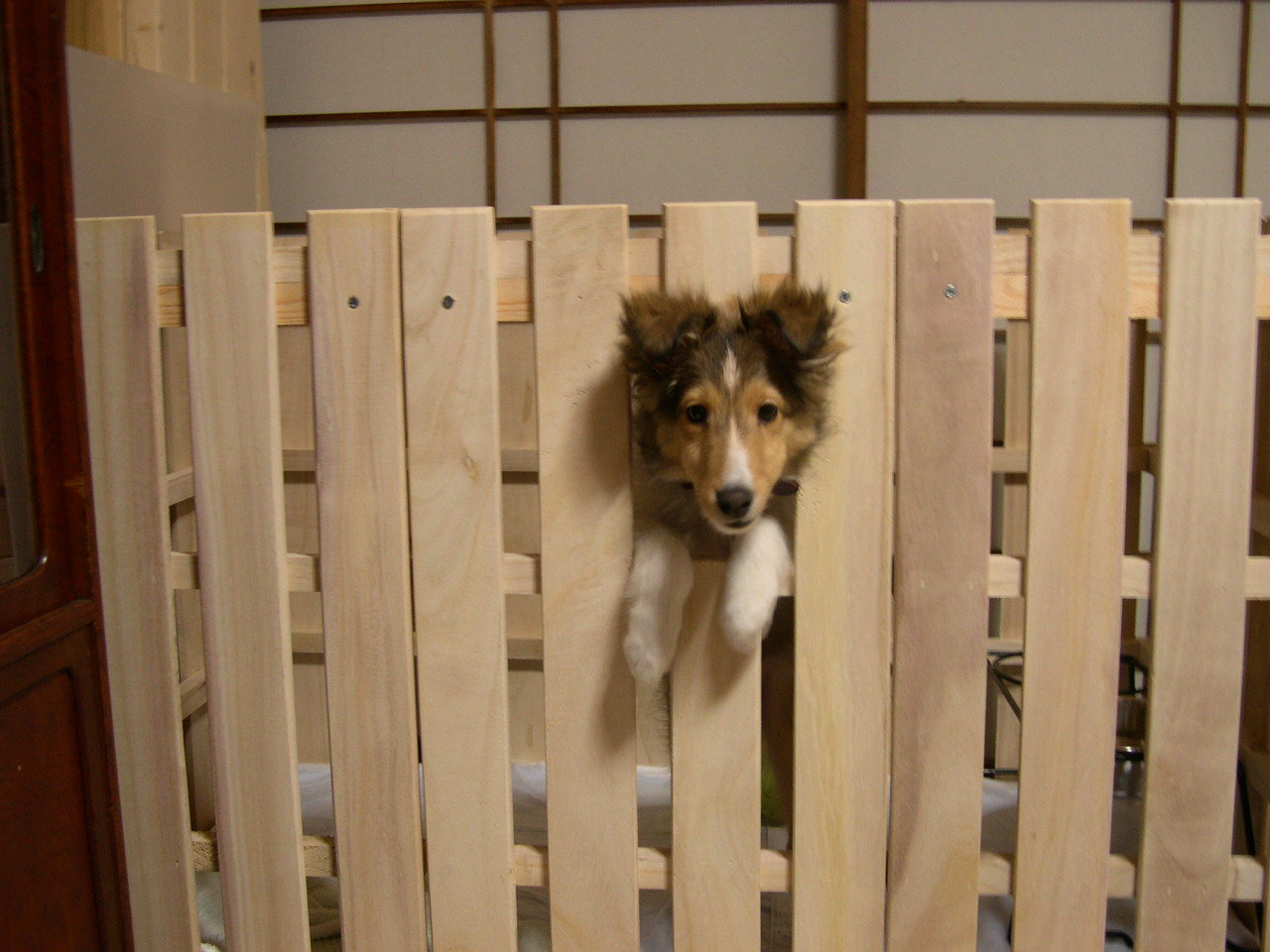 a0356022_16254970.jpeg