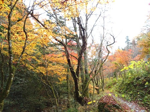 f0213825_12334292.jpg