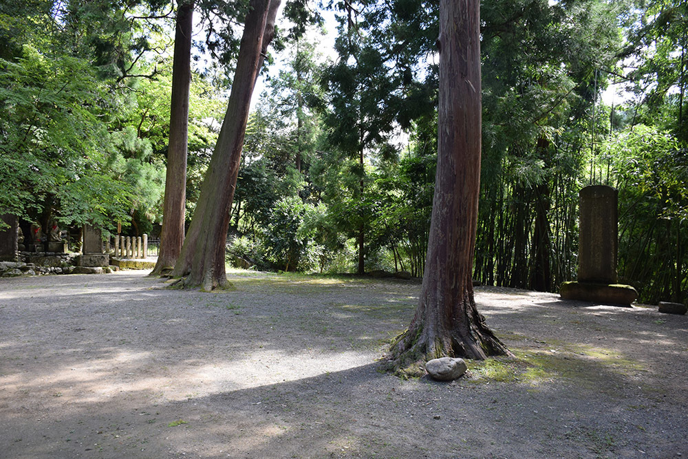 天誅組の足跡を訪ねて。　その５　「観心寺」_e0158128_15225134.jpg