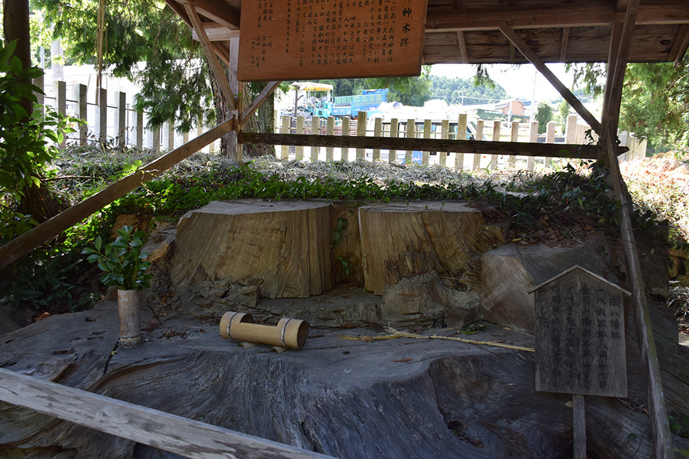 天誅組の足跡を訪ねて。 その7 「岡八幡宮」_e0158128_15491705.jpg