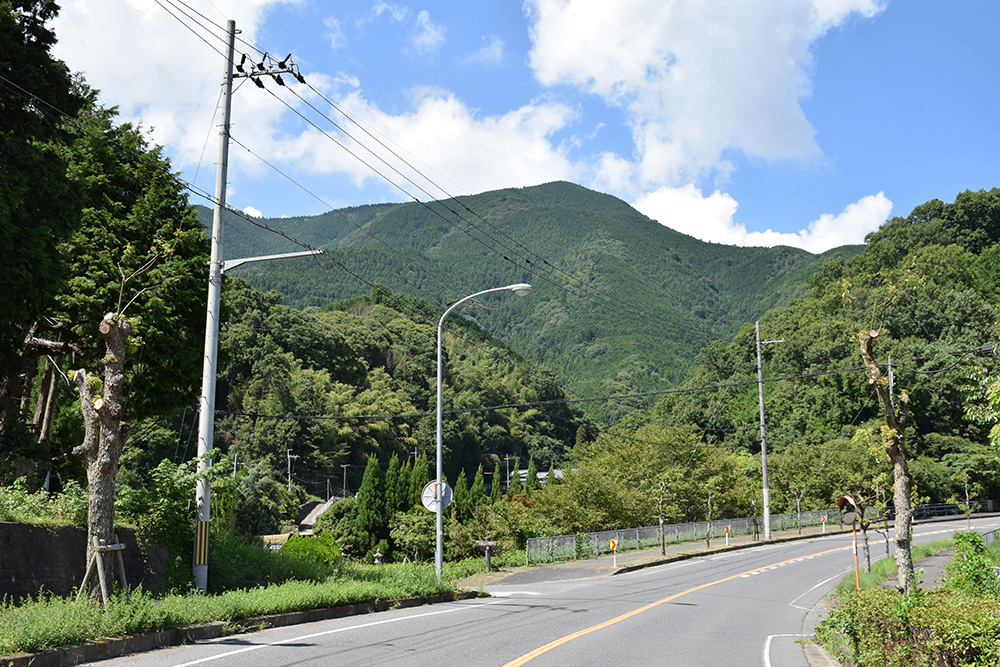 天誅組の足跡を訪ねて。 その7 「岡八幡宮」_e0158128_15521695.jpg