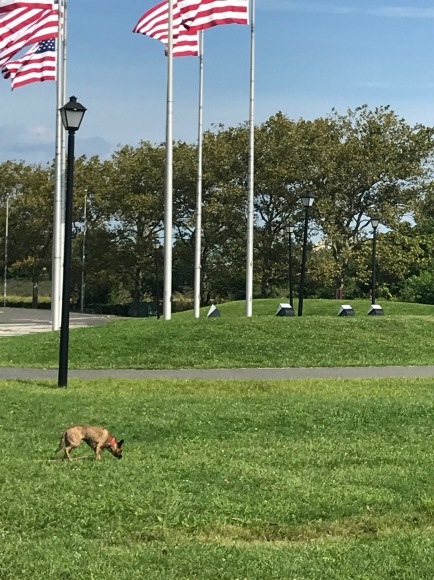 d0269832_20073760.jpeg