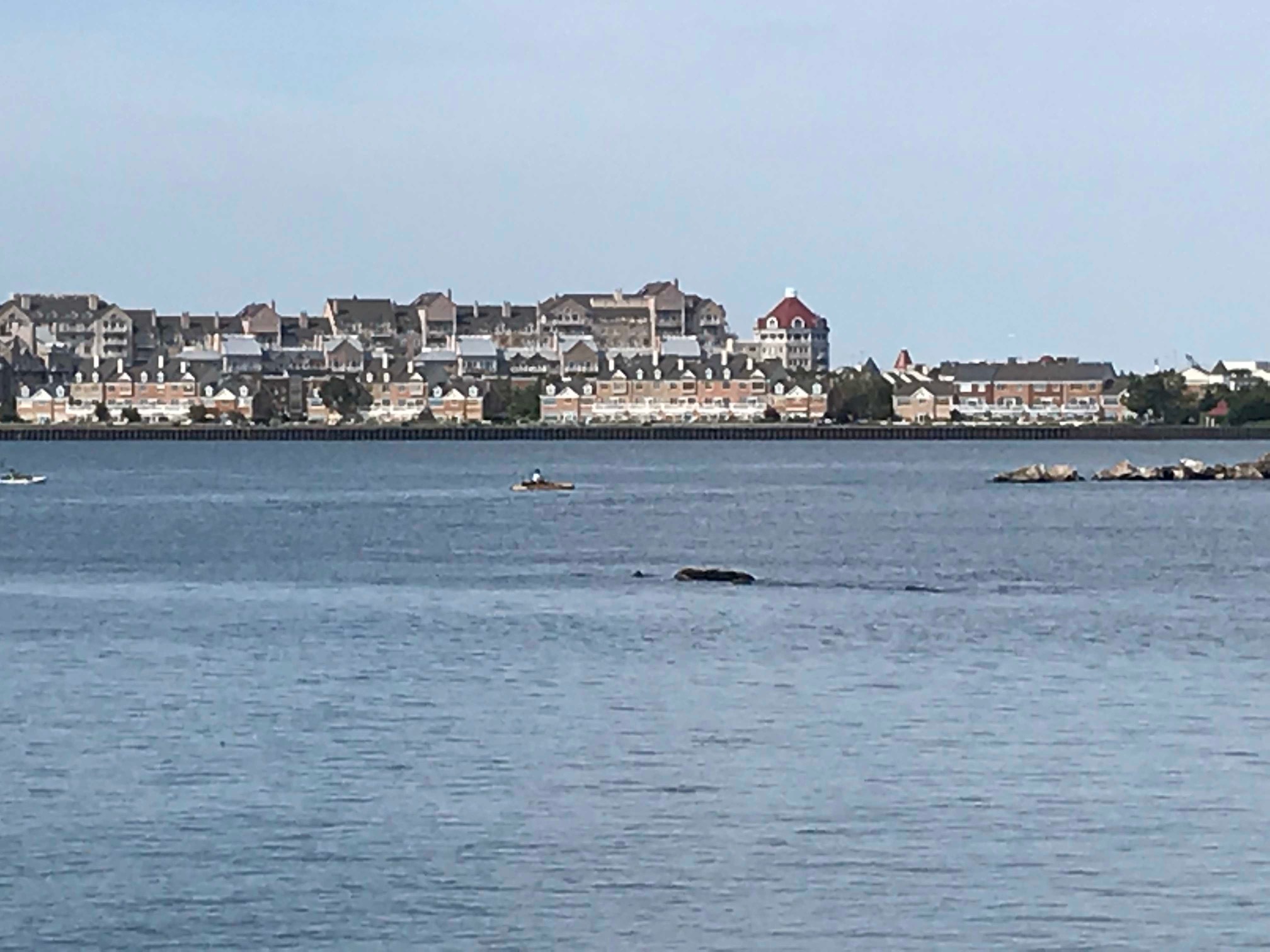 d0269832_20141218.jpeg