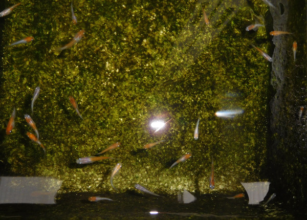 e0097534_17281772.jpg
