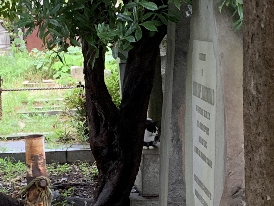 b0330040_09391520.jpeg