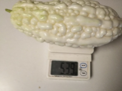 c0330749_10244966.jpg