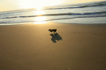 c0145250_09140579.gif