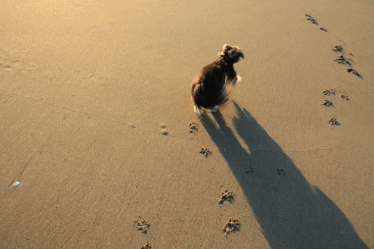 c0145250_09141736.gif
