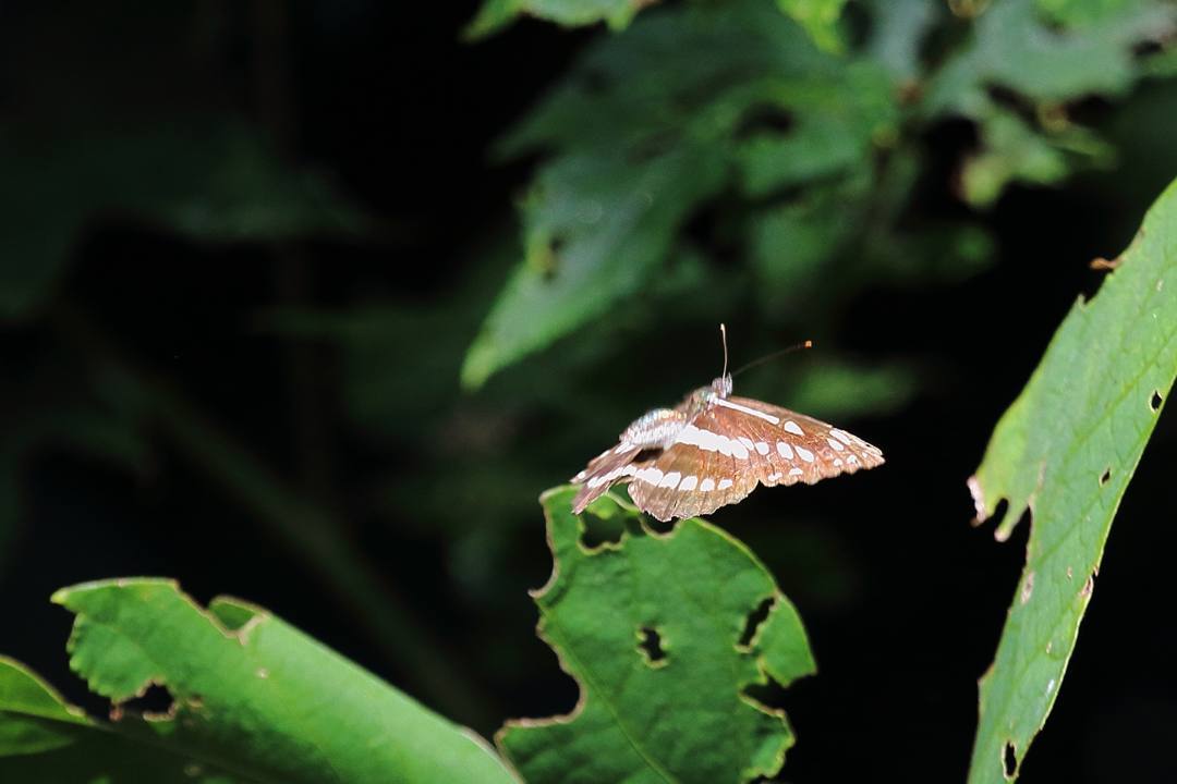 e0403850_23360240.jpg