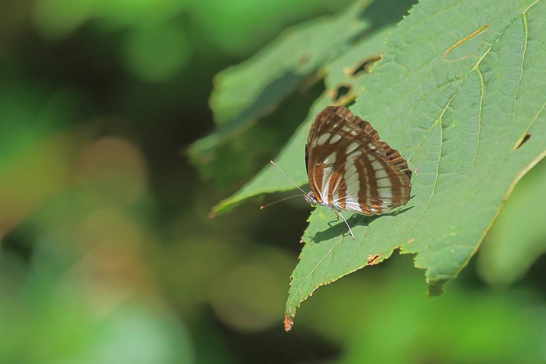 e0403850_23370922.jpg