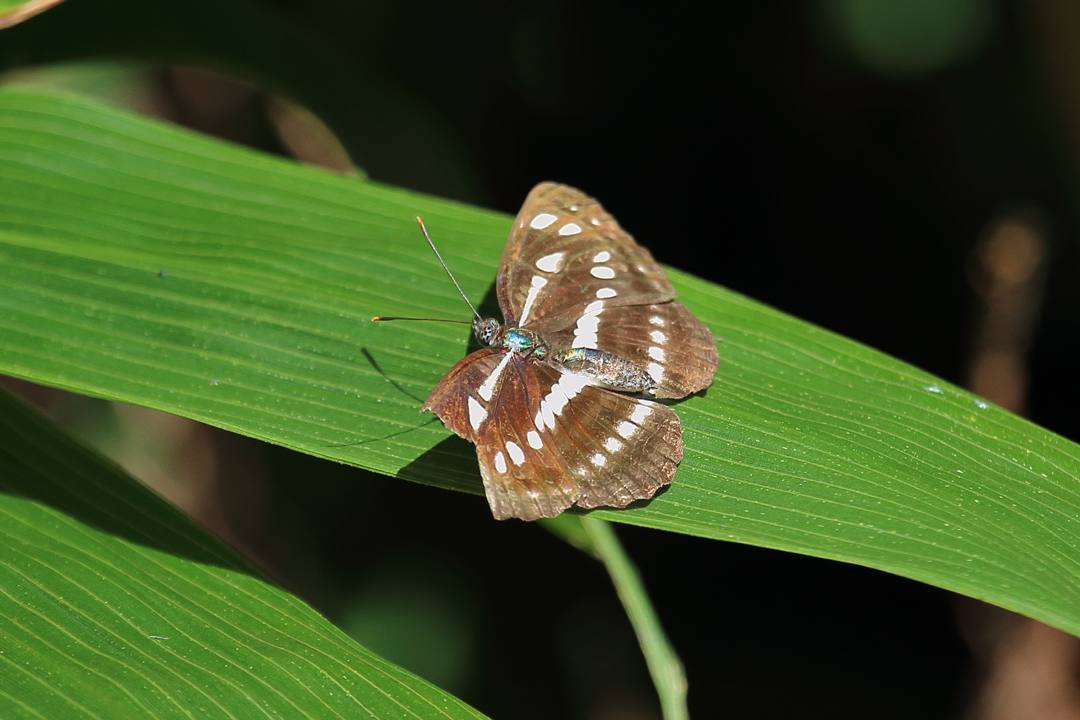 e0403850_23372343.jpg