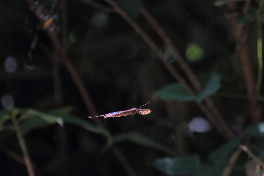 e0403850_23424444.jpg