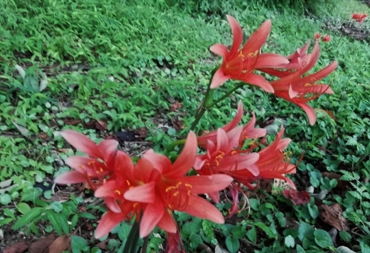 b0220251_05485780.jpg