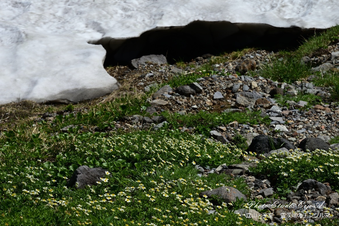 e0365355_22154711.jpg