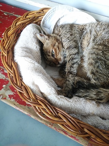 c0172261_09412705.jpg