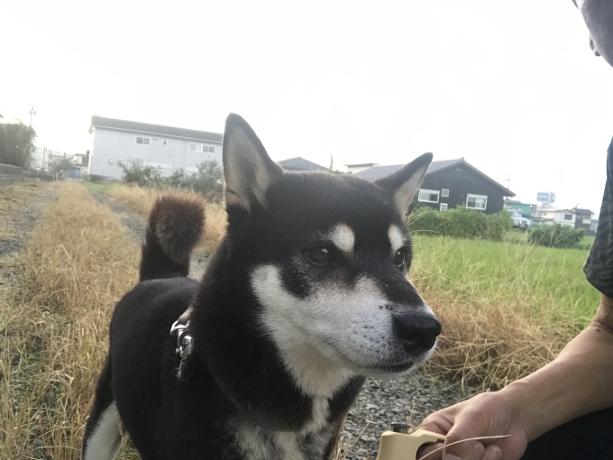 甲南工場では金型洗浄機を活用しています_b0100062_18132335.jpeg