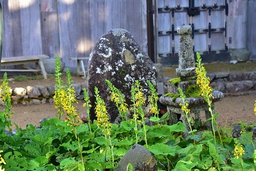 c0303868_07162986.jpg