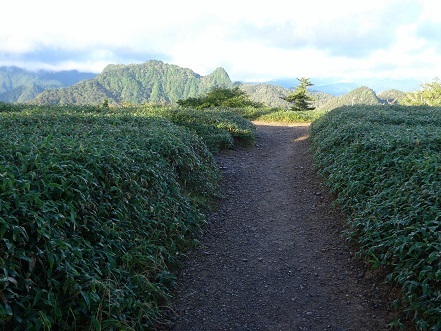 c0303868_07184737.jpg