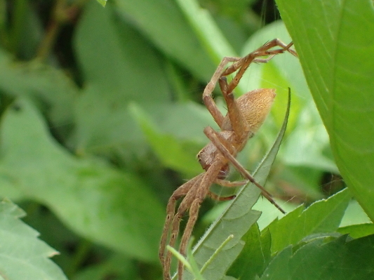 2019.8.22岩殿_f0131669_23161928.jpg