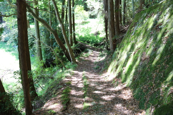 c0001670_21405559.jpg