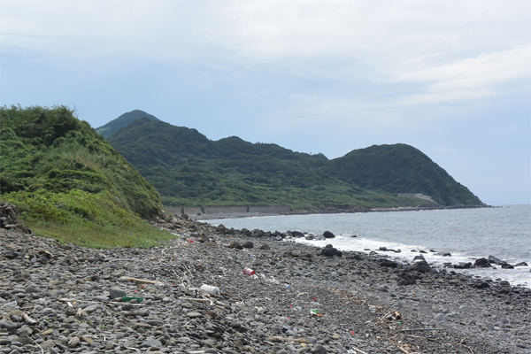海辺のクロツなど_e0167571_2025146.jpg