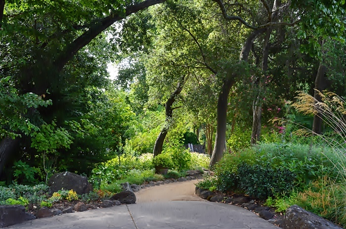 At the park #2 - Ross_b0369375_05364948.jpg