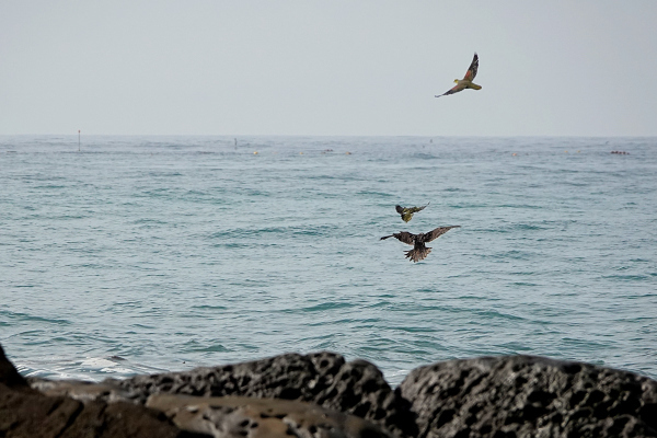 a0143780_11185135.jpg