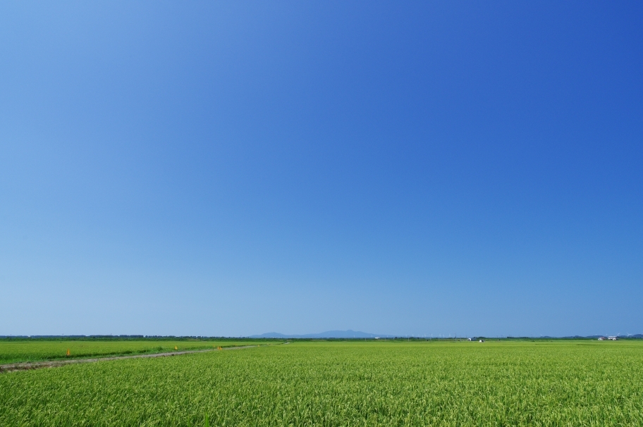 故郷の田んぼと夏の空 自然と仲良くなれたらいいな２