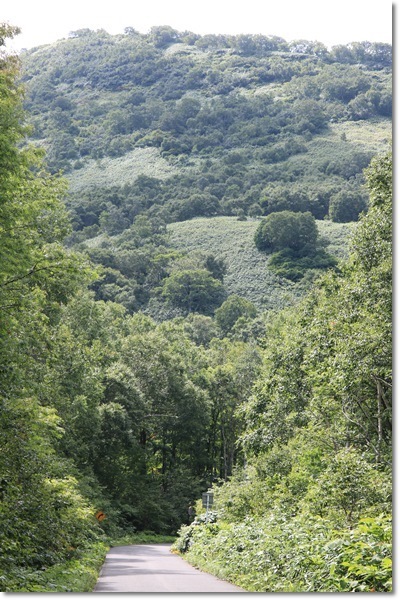 f0146493_22485797.jpg