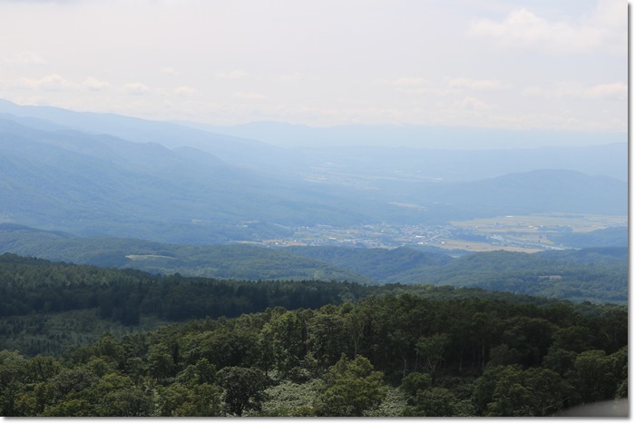 f0146493_23140484.jpg