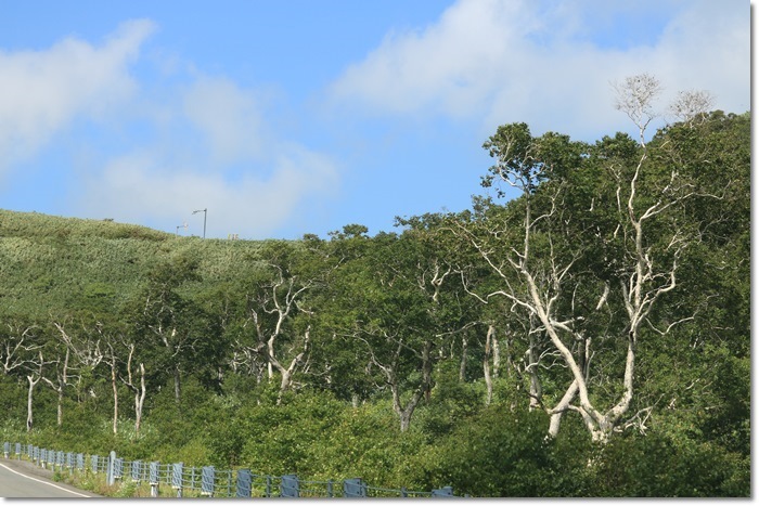 f0146493_23142043.jpg