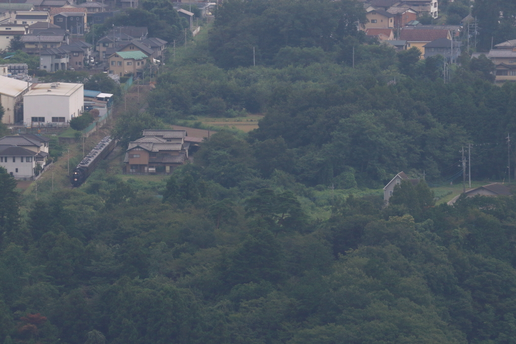 残暑の汽車 - 2019年晩夏・秩父鉄道 -_b0190710_21382549.jpg