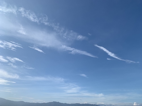 f0251618_20542640.jpg