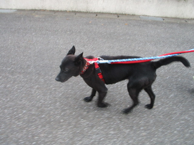 f0078320_01242955.jpg