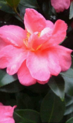 c0074721_16080213.jpg