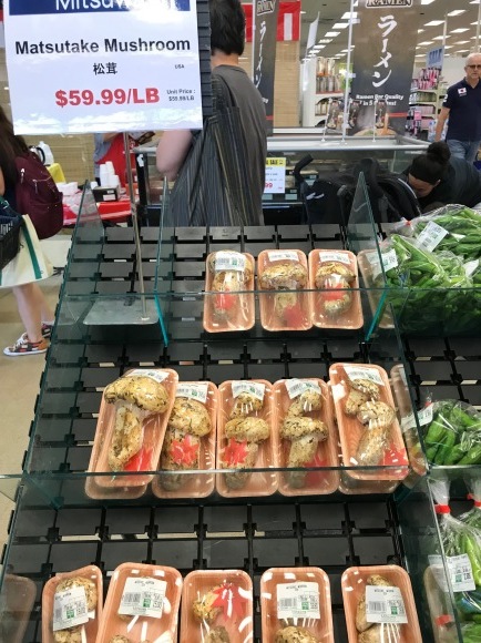 d0269832_19453975.jpeg