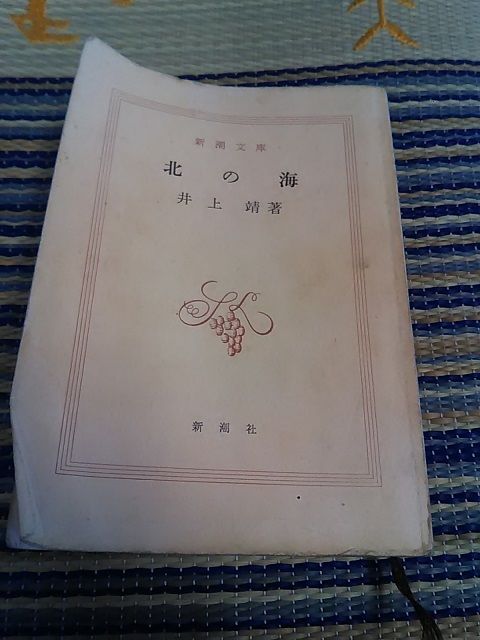 流星を見たか_b0007835_13060484.jpg