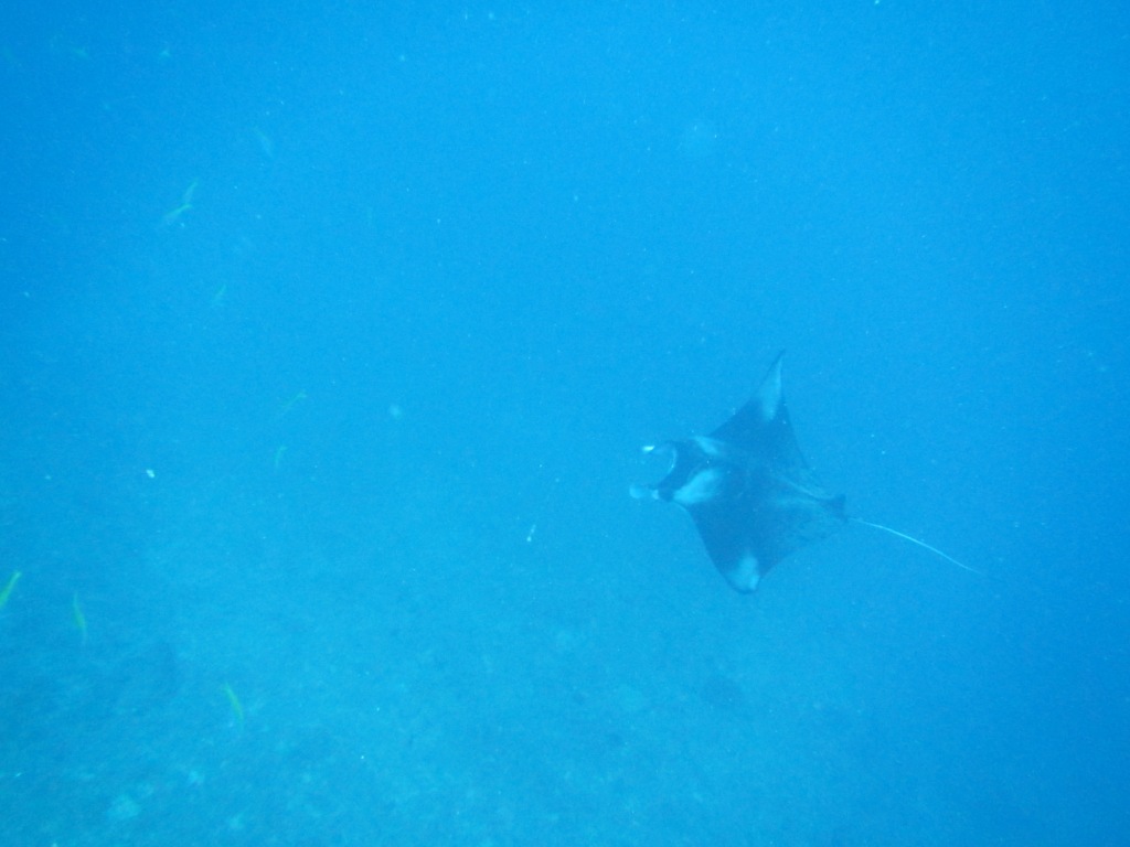 大物三昧っ!!_a0189838_17030214.jpg