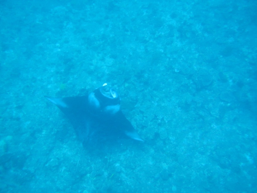 大物三昧っ!!_a0189838_17032236.jpg