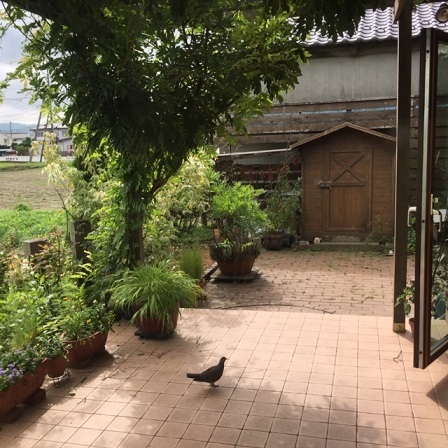 a0272241_17592561.jpeg