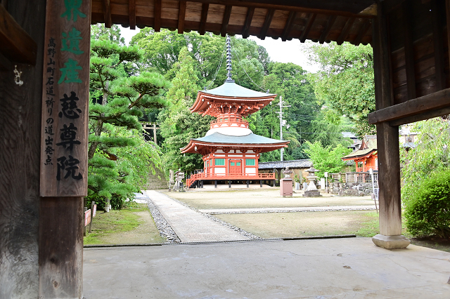 b0249247_22215515.jpg