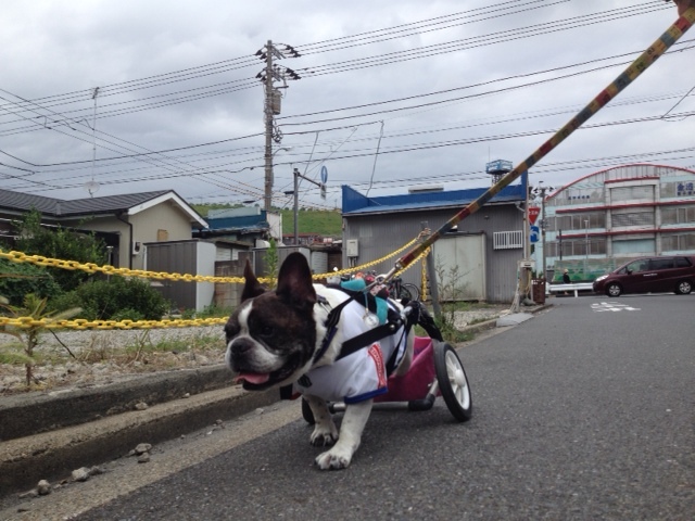 b0307951_23271870.jpg