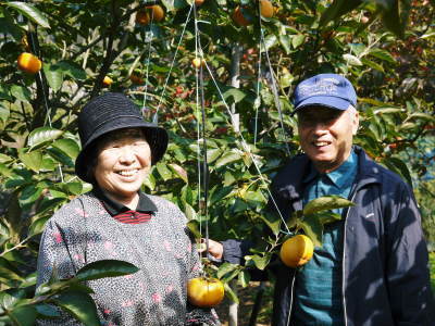 太秋柿　古川果樹園　今年(令和元年)も順調に成長中！しかし、収量は今年は激減しそうです(後編)_a0254656_17594748.jpg