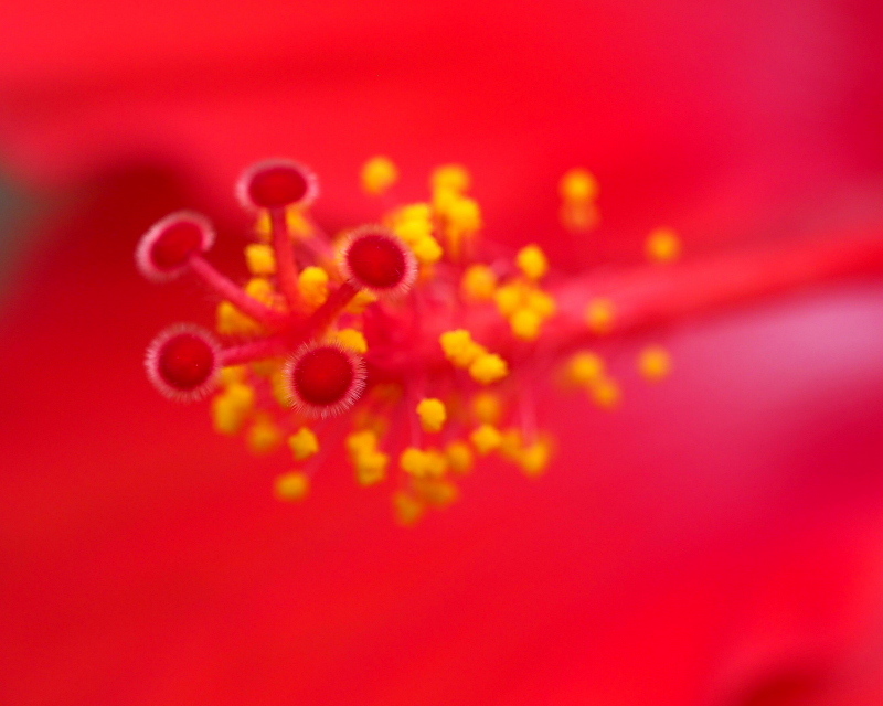 c0305565_17250685.jpg